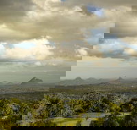 Mary Cairncross Scenic Reserve Rainforest Walk - Accommodation Search