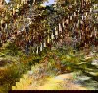 Mining Road Fire Trail Old Gibber Road Rire Trail - Accommodation Search