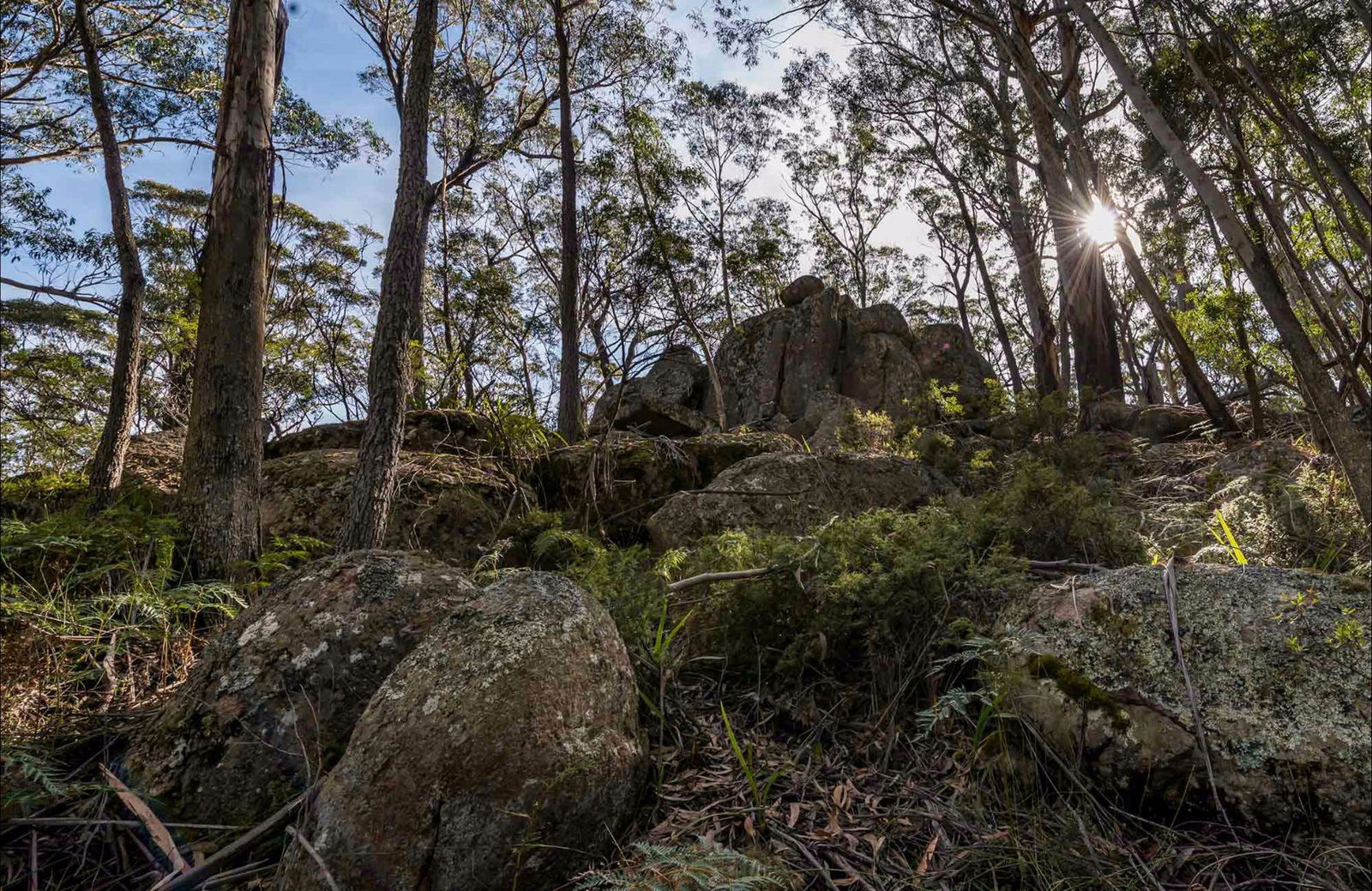 Paddys Flat NSW Accommodation Search