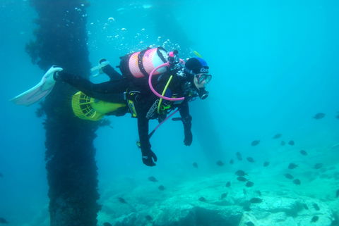 Shellharbour Scuba  And Photography Centre - Accommodation Search 0