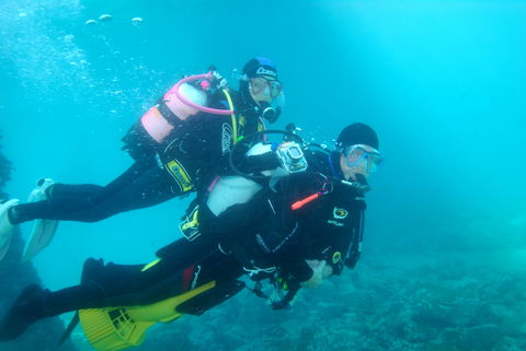 Shellharbour Scuba  And Photography Centre - Accommodation Search 1