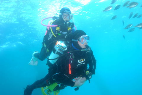 Shellharbour Scuba  And Photography Centre - Accommodation Search 2