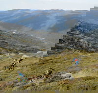 Thredbo Mountain Biking - Accommodation Search