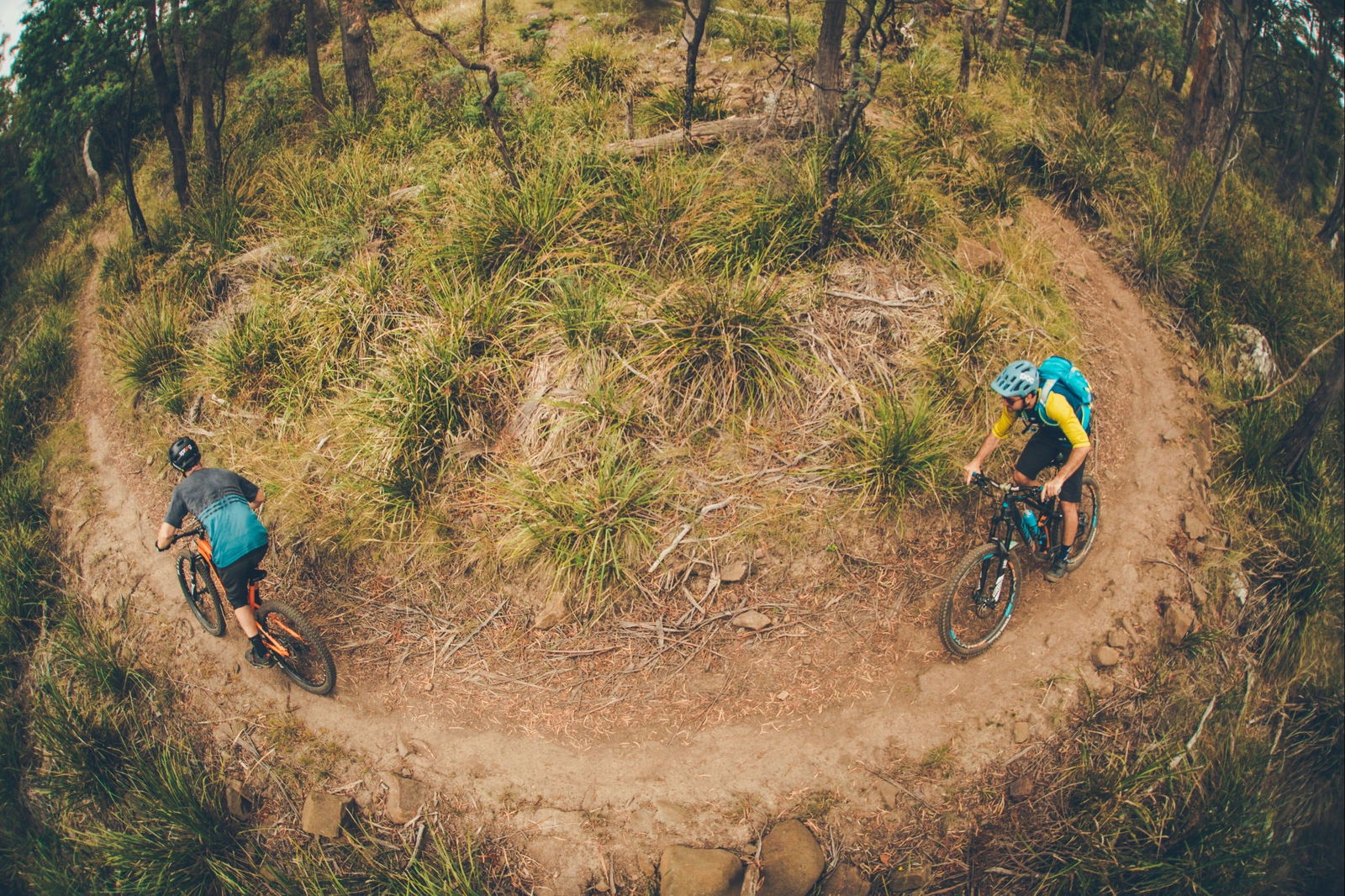 Newstead TAS Accommodation Search