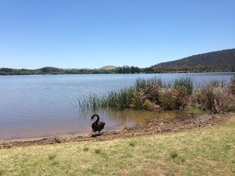 Yarralumla Bay - Accommodation Search 0