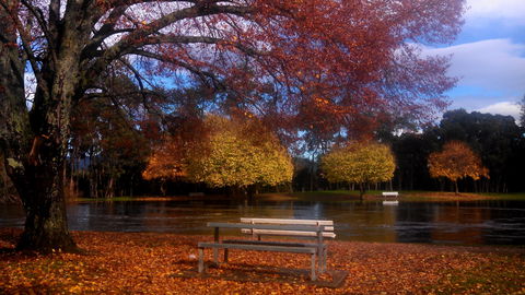 Bells Parade Reserve - Accommodation Search 0