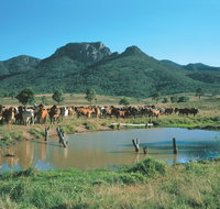 Biggenden