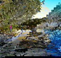 Five Islands Walking Track - Accommodation Search