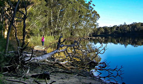 Five Islands Walking Track - Accommodation Search 0