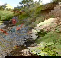 Gold Panning Deep Creek - Accommodation Search