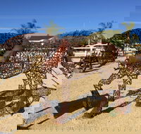 Gundersen Reserve - Accommodation Search