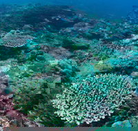 Hanging Rock Dive Site - Accommodation Search