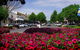 Inverell - thumb 1