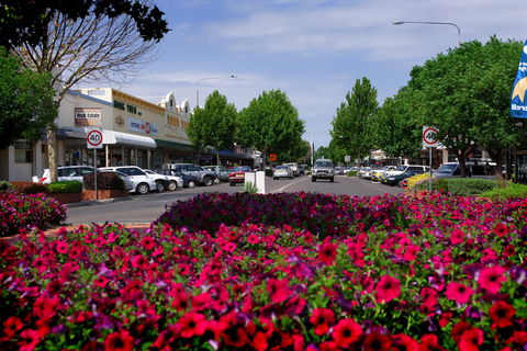 Inverell - Accommodation Search 1