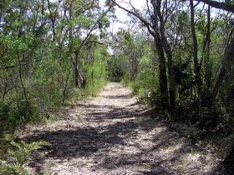 Lanky's Walk - Accommodation Search 0