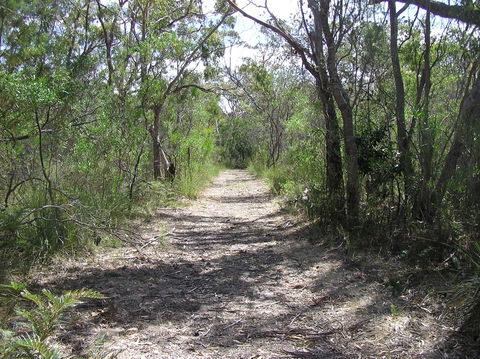 Lanky's Walk - Accommodation Search 2