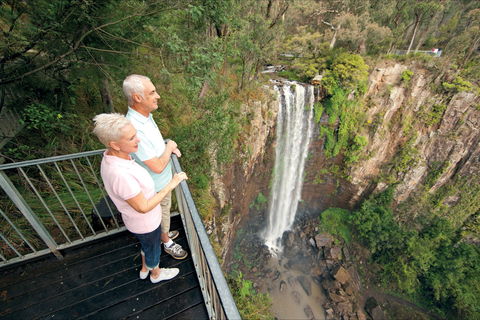 Queen Mary Falls Circuit, Main Range National Park - Accommodation Search 1