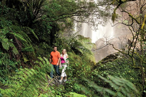 Queen Mary Falls Circuit, Main Range National Park - Accommodation Search 2