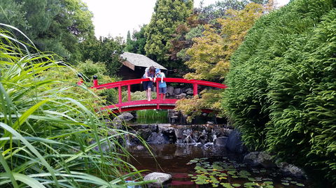 Royal Tasmanian Botanical Gardens - Accommodation Search 1