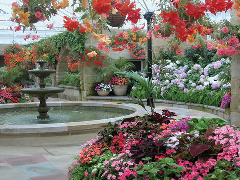 Royal Tasmanian Botanical Gardens - Accommodation Search 2