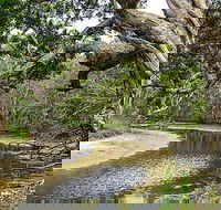 Saltwater National Park - Accommodation Search