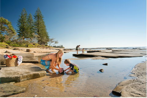 Shelly Beach - Accommodation Search 0