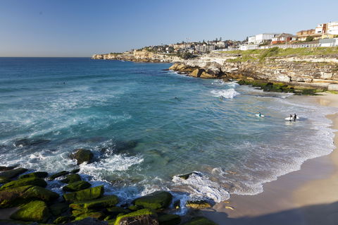 Tamarama Beach - Accommodation Search 1