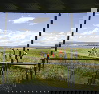 Tamar Island Wetlands Centre and Reserve - Accommodation Search