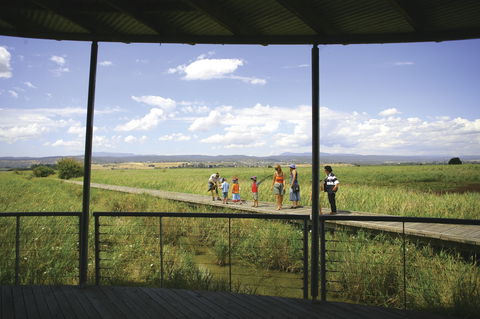 Tamar Island Wetlands Centre And Reserve - Accommodation Search 0