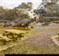 Thredbo River picnic area - Accommodation Search