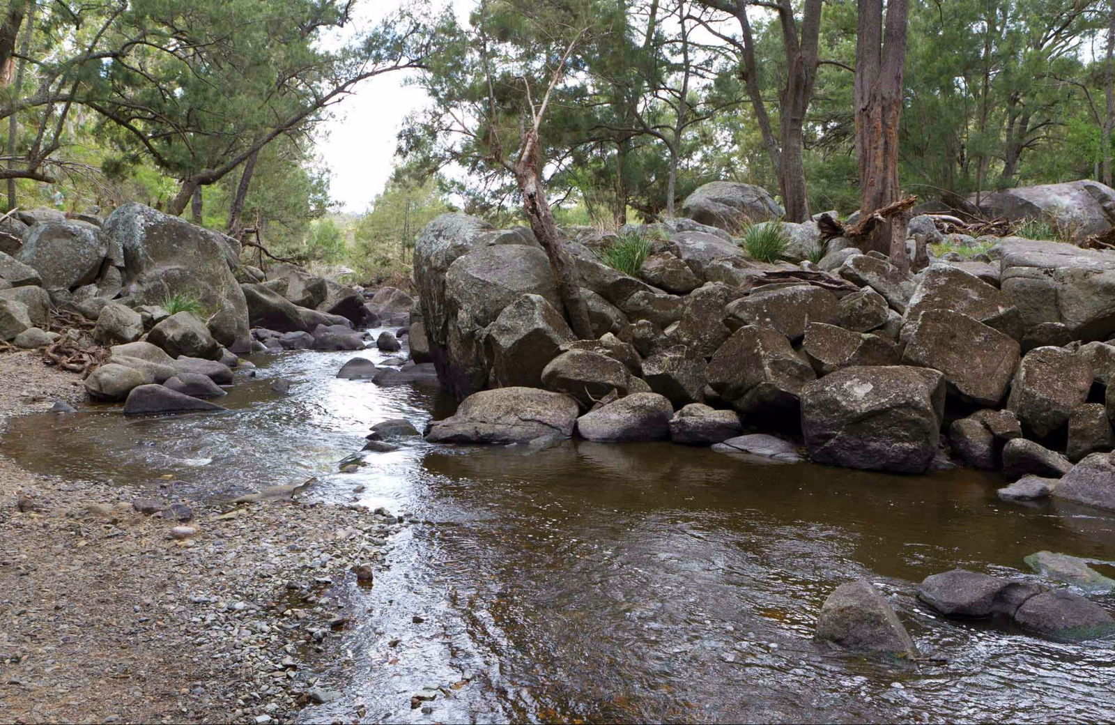 West Armidale NSW Accommodation Search