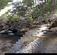 Threlfall Walking Track - Accommodation Search