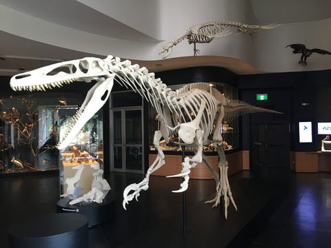 UNE Natural History Museum - Accommodation Search 0