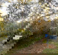 Yarrangobilly Caves  River walk - Accommodation Search
