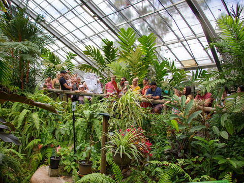 Australian Butterfly Sanctuary - Accommodation Search 2