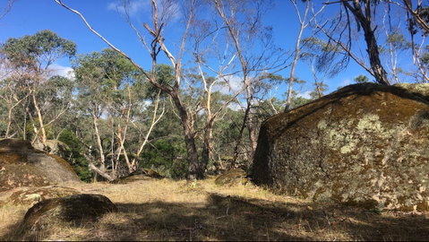 Bailey's Rocks - Dergholm State Park - Accommodation Search 0