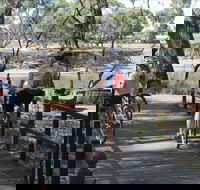 Bidgee Riverside Trail  - Hay Nature Walk - Accommodation Search