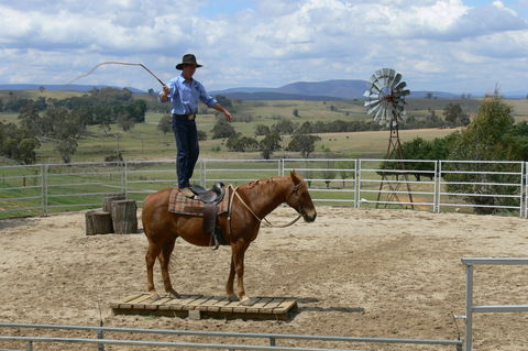 Boggy Creek Show - Accommodation Search 0