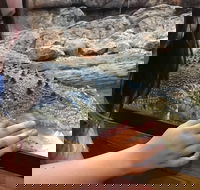 Canberra Reptile Zoo - Accommodation Search
