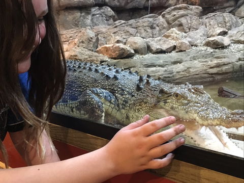 Canberra Reptile Zoo - Accommodation Search 0
