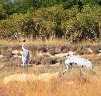 Cape Keraudren Nature Reserve - Accommodation Search