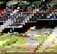 Crocodylus Park and Zoo - Accommodation Search
