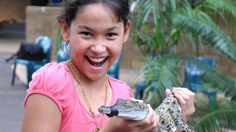 Crocodylus Park And Zoo - Accommodation Search 1