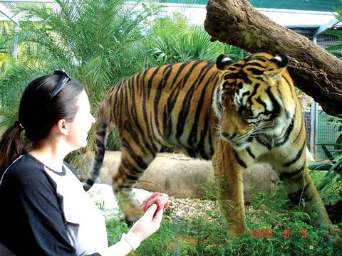 Crocodylus Park And Zoo - Accommodation Search 2