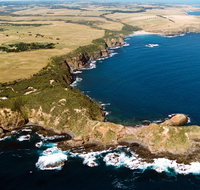 Fingal Beach Walk - Accommodation Search