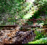 George Brown Darwin Botanic Gardens - Accommodation Search