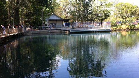 Howard Springs Nature Park - Accommodation Search 1