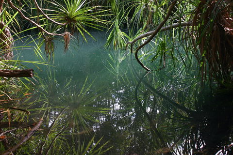 Howard Springs Nature Park - Accommodation Search 2