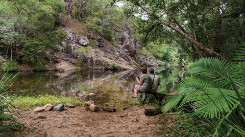 Jourama Falls, Paluma Range National Park - Accommodation Search 1