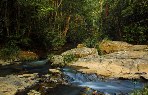 Jumrum Creek Walk, Jumrum Creek Conservation Park - Accommodation Search 0